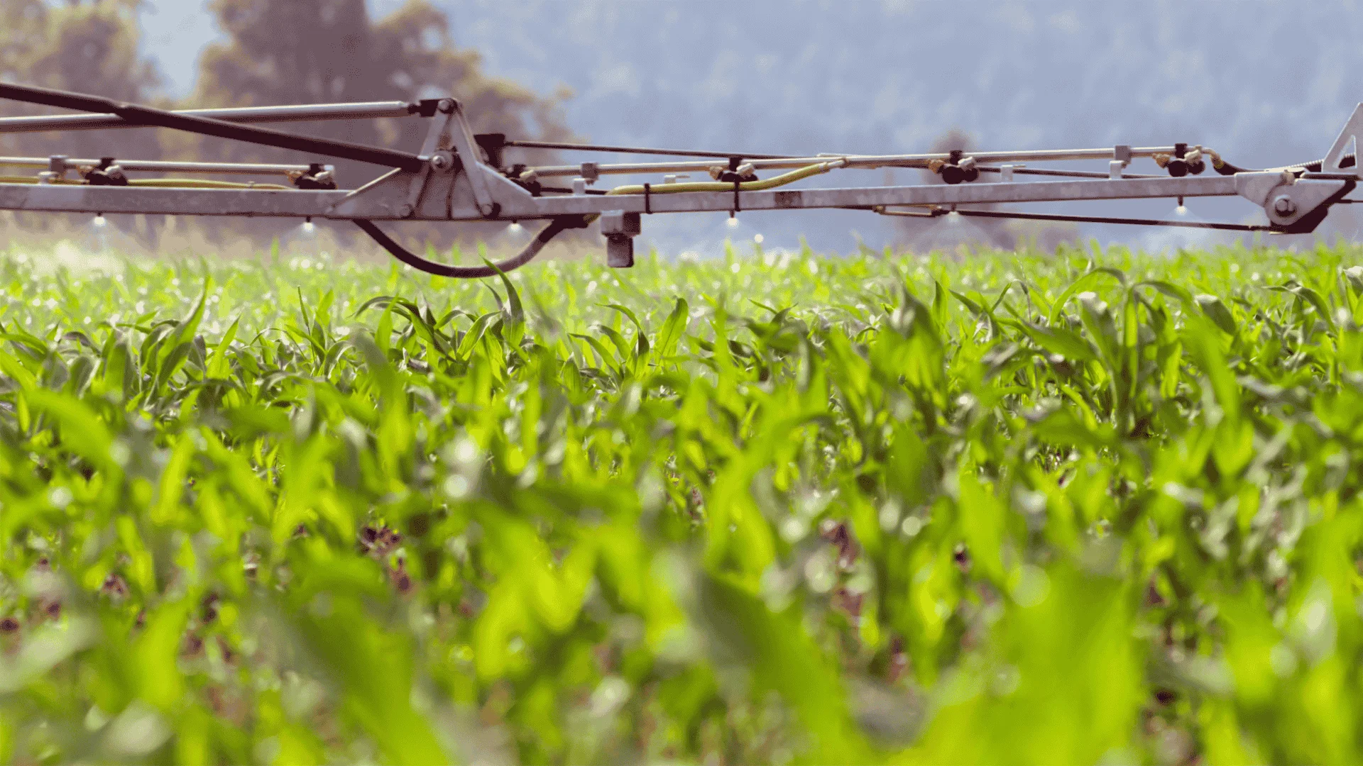 9. Crop Proctectors Banner